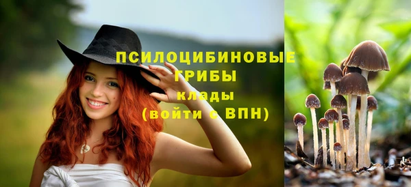 Альфа ПВП Алзамай
