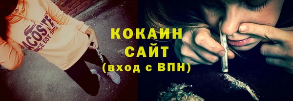 дживик Осинники