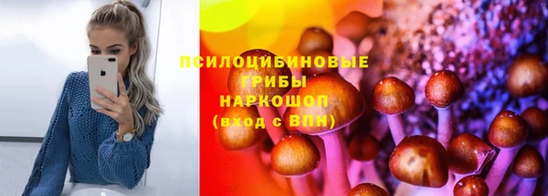 Альфа ПВП Алзамай
