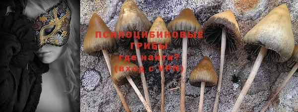 spice Алексеевка