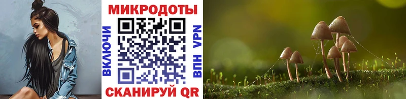 Псилоцибиновые грибы мухоморы как найти закладки Биробиджан